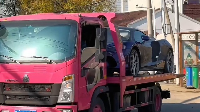 这一次回家将是最硬气的一次 村花今年必拿下  #迈凯伦 #农村