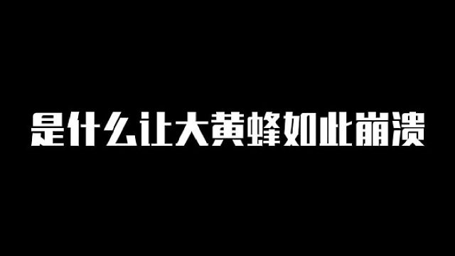 大黄蜂-是什么让大黄蜂如此崩溃