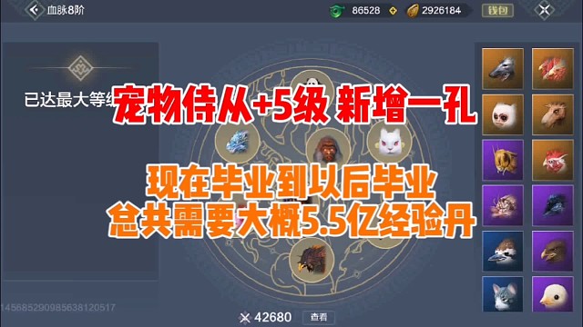 宠物侍从 5级 新增一孔 现在毕业到以后毕业 大概需要5.5亿经验丹或临时