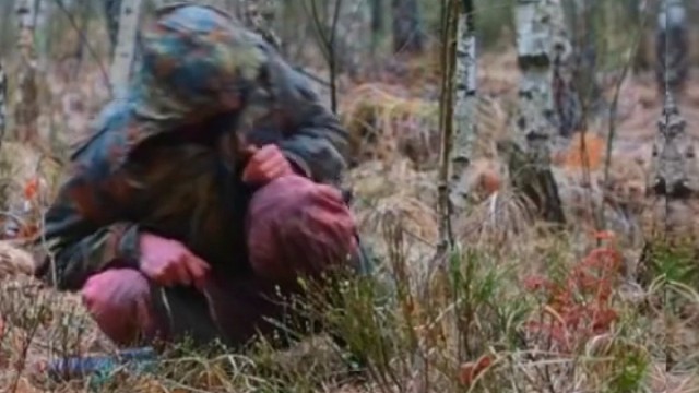 松鸡是不擅飞行，生活在山地树林、灌木丛中