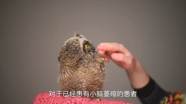 2症状#愿天下更健康更长寿