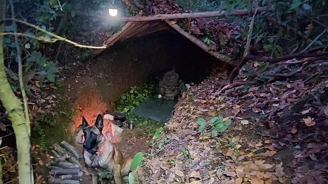 一人一狗挑战野外求生，在最快的时间内，搭建最隐蔽安全的避难所