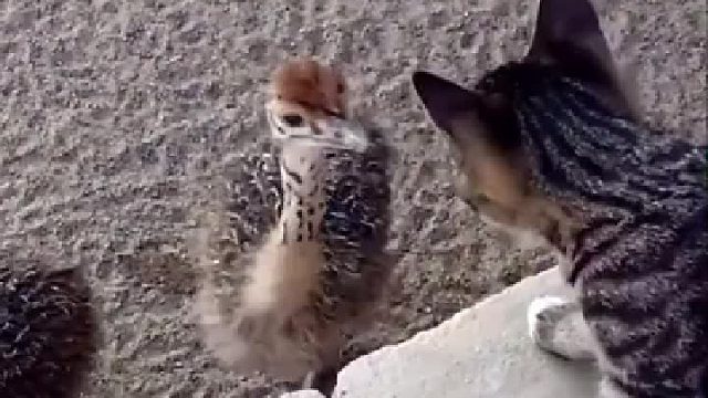 10年河东10年河西，小时候欺负我们，现在呢？