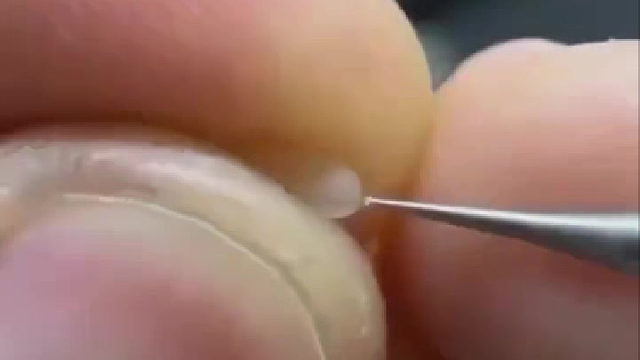 一粒米上雕刻哥斯拉