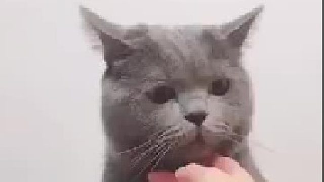 姑娘，我想我已经做得很委婉了