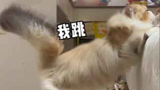 这也太尴尬了吧…