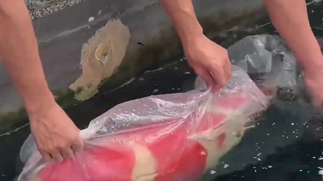 您的网友已开启超长许愿模式