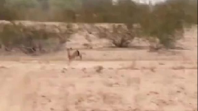 为了活着，谁不拼命练点技能