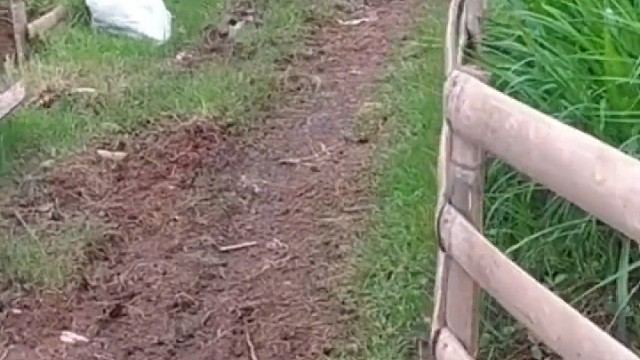 仅推送给活泼可爱的人