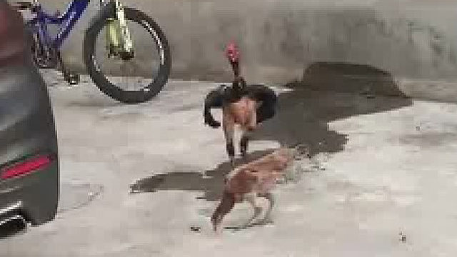 我还是喜欢你成熟的样子