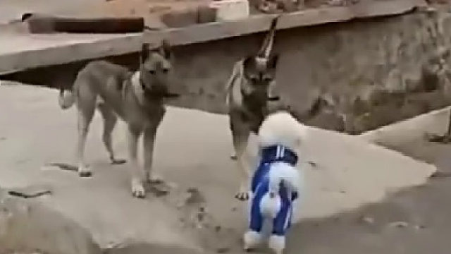 这是坠入爱河啊