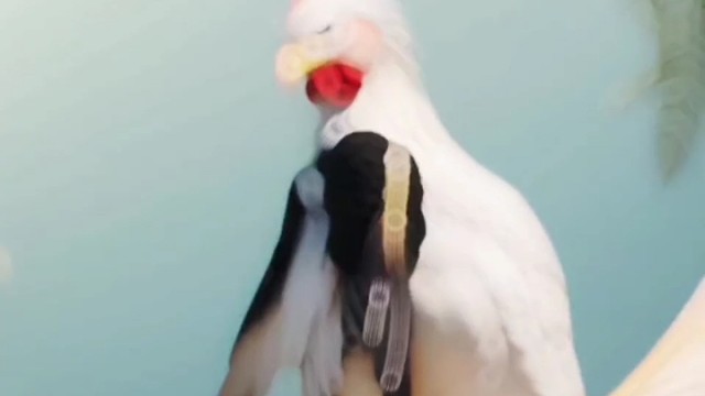 仿佛看到一位练习两年半的故人