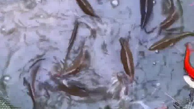 我小时候也用过这种东西 好怀念啊