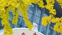 這么好看的校園 當(dāng)然是分享給你了.
#治愈系風(fēng)景#學(xué)校風(fēng)景#武漢體育學(xué)院