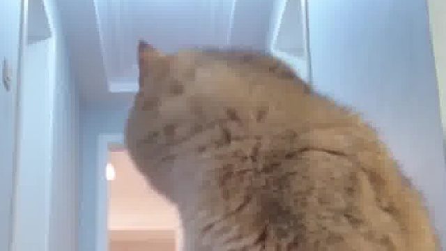 胜男：我把你放心上，你把我挂网上