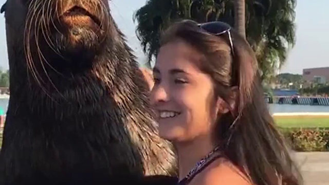 海狮：我只是个没有感情的合照机器。。。下一位！