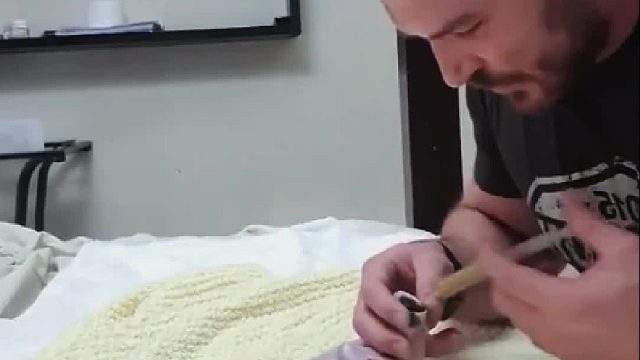 大叔在自家院子里捡到一窝奄奄一息的雏鸟，于心不忍带回来好好照顾