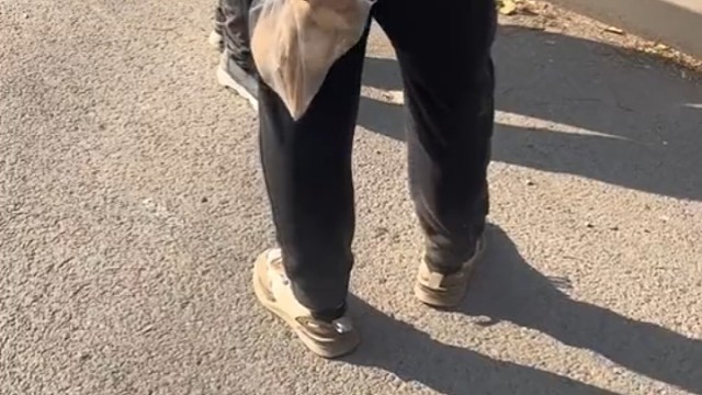 老板给我打包一份小狗狗