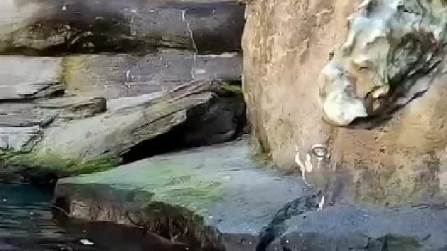 好怕它敲到小手手