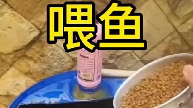 鱼里掺那么多水干什么？不怕鱼淹死了？