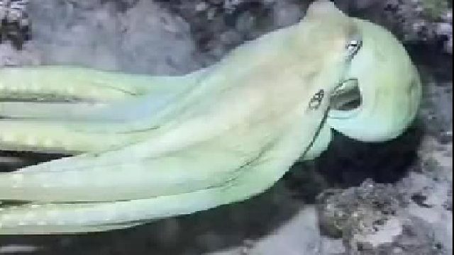 大自然真是太神奇了