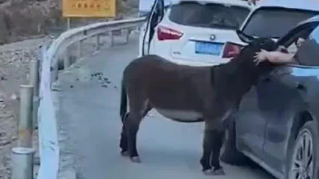 论社交能力的重要性 为了口吃的不丢人