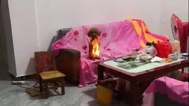 小狗坐在火中一动不动？仔细看才发现是反光