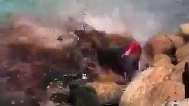 这鲸鱼被什么东西吃掉了吗？