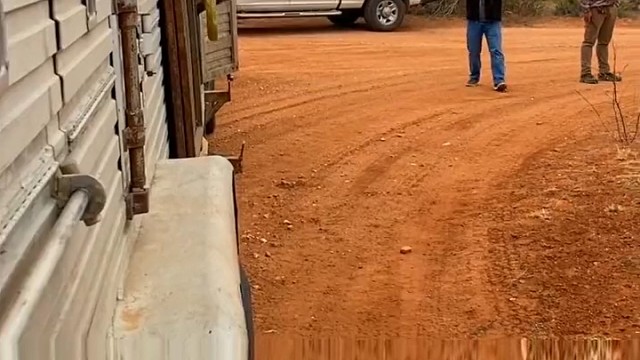 瞪羚身手敏捷，和奔跑主要是躲避猎豹等天敌动物。