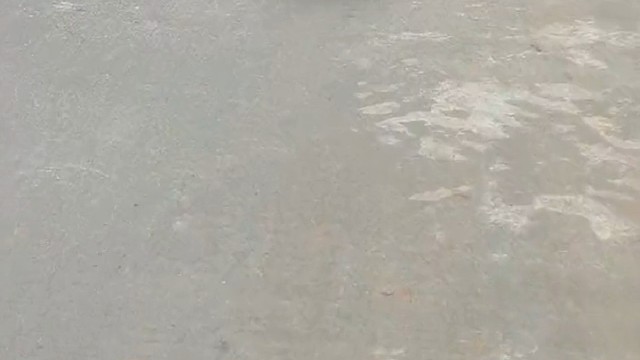 过完年唯一的幸存者