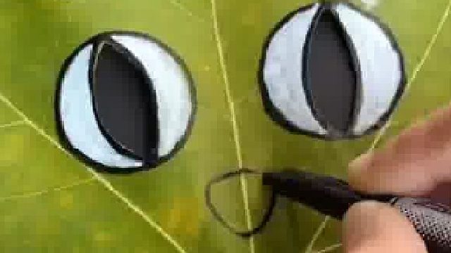 捡一片树叶做一个漂亮的猫咪面具吧~简单易上手，快来试试