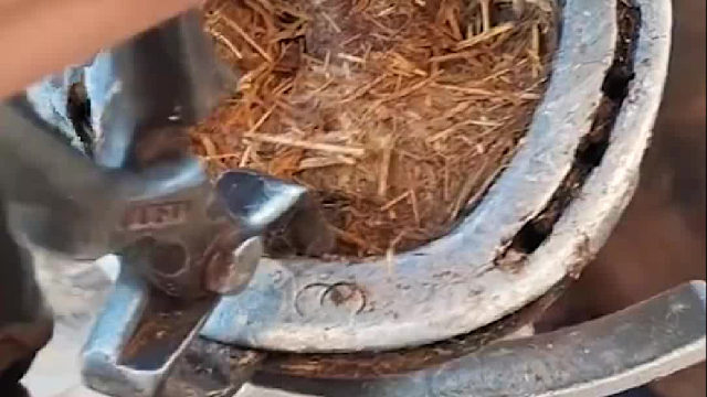 要想生活过的去，这顿必须吃点绿