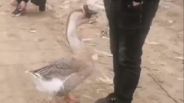 我啥也没干，他上来就给我一巴掌