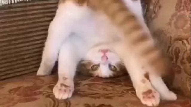 这是什么操作！