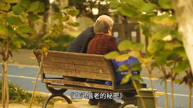 爱情故事系列小说