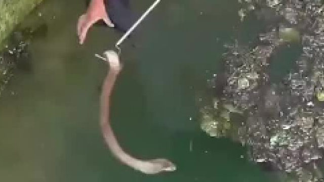 真的害怕他掉下去