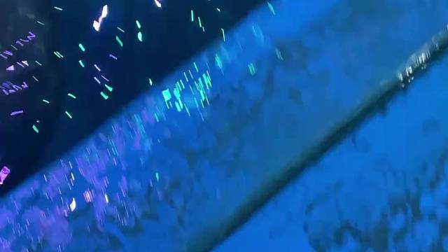 吃冰块啦#白鲸吃冰 #虎滩小鱼儿