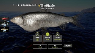 27圖拉多加群島–超輕星瓦拉姆