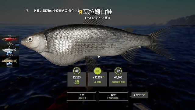 27圖拉多加群島–超輕星瓦拉姆