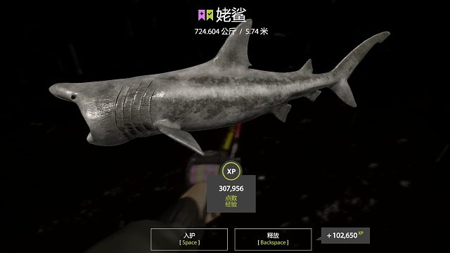 724佬鲨起鱼（181引）