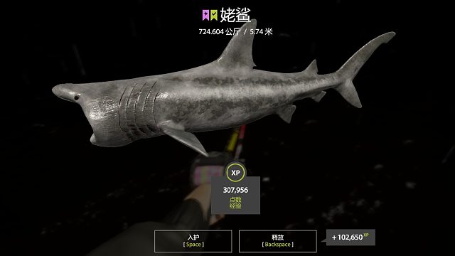 724佬鲨赶鱼片段