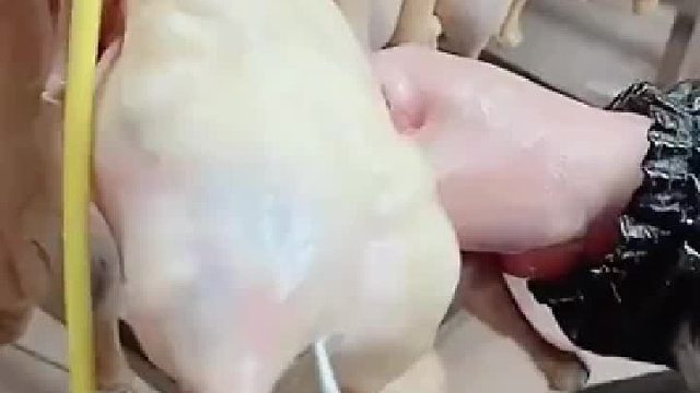 为什么要加气？