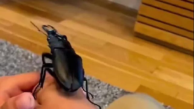 这不给女朋友买一个？