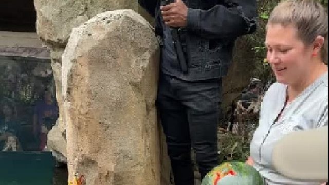 这咬合力！！！！