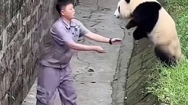 主打的就是个信任