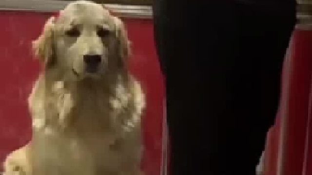 一个欲情故纵，一个掩耳盗铃