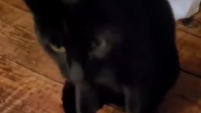 这玩意儿真有这么上头吗