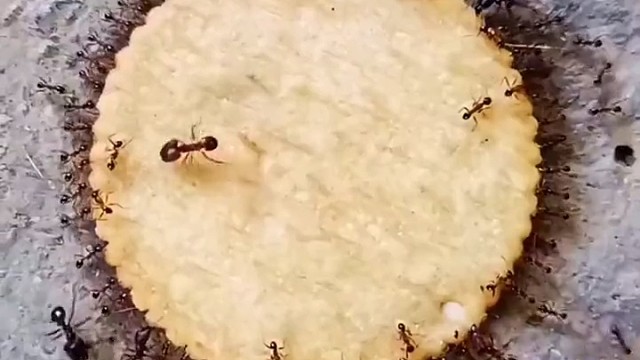 猜猜最上面的是什么职位