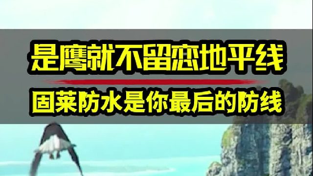 是鹰就不可以留恋地平线，固莱防水可以是你最后的防线