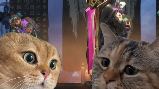 下次一定不马了！！！